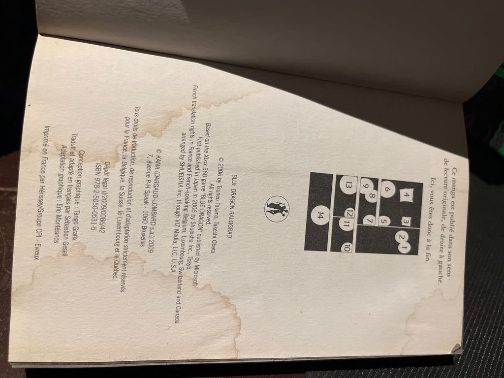 Blue Dragon Ral Grad - Tome 1 🇫🇷