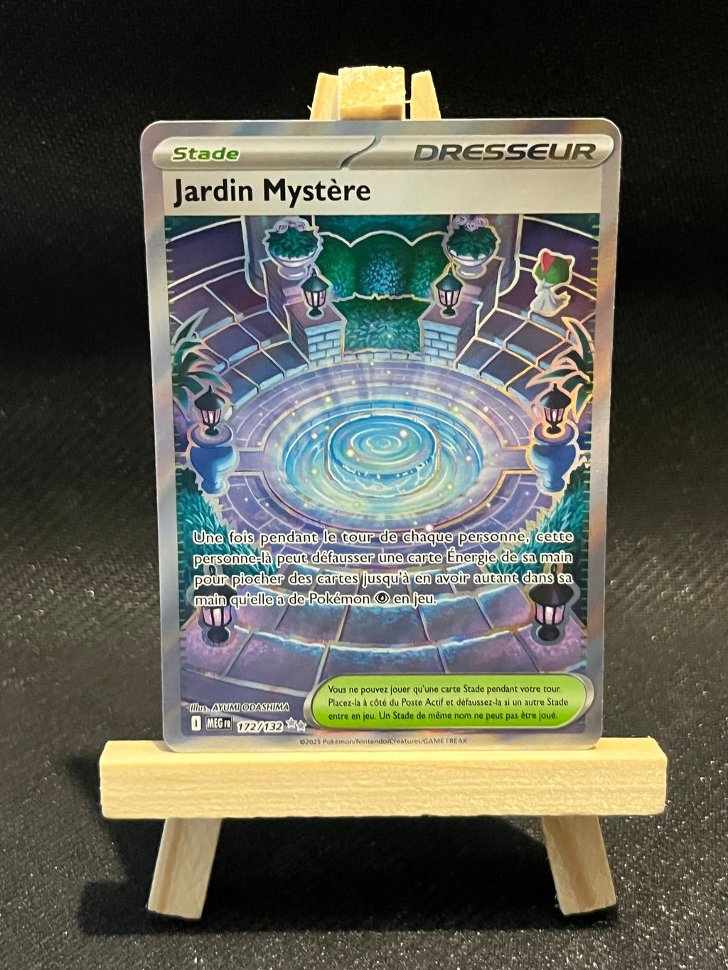 Carte jardin mystère FA nm 172/132