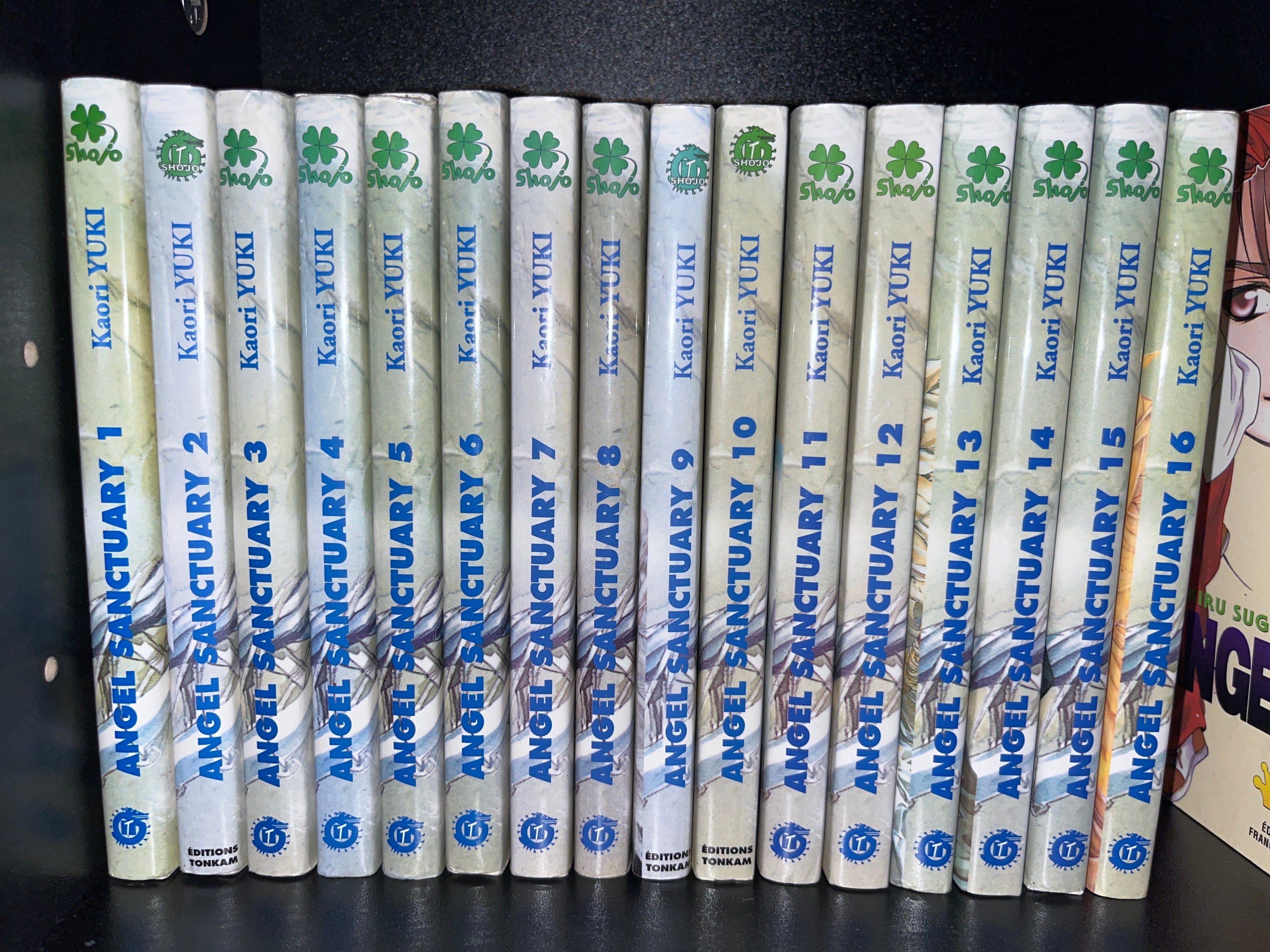 Angel Sanctuary - Lot 🇫🇷