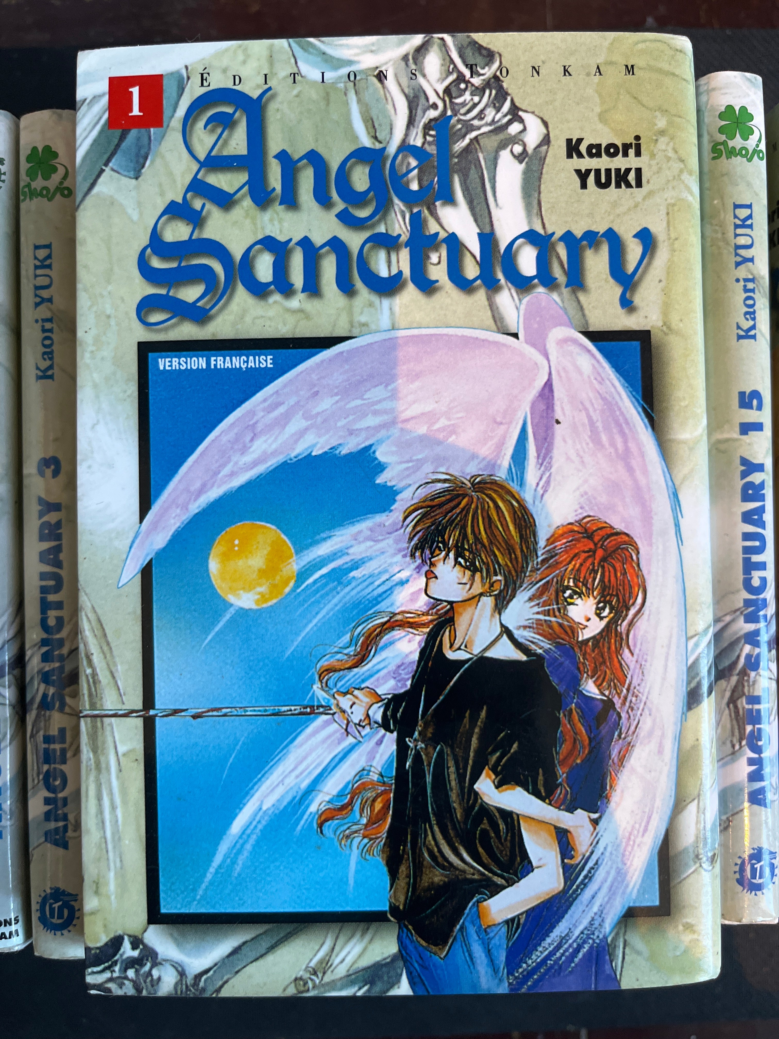 Angel Sanctuary - Lot 🇫🇷