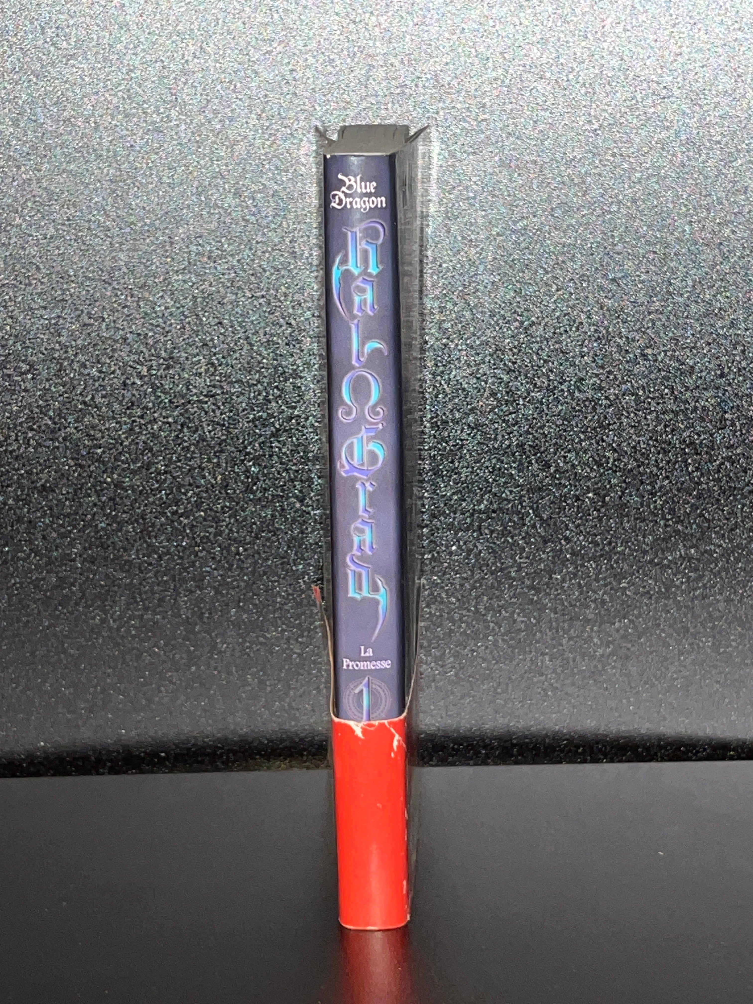 Blue Dragon Ral Grad - Tome 1 🇫🇷