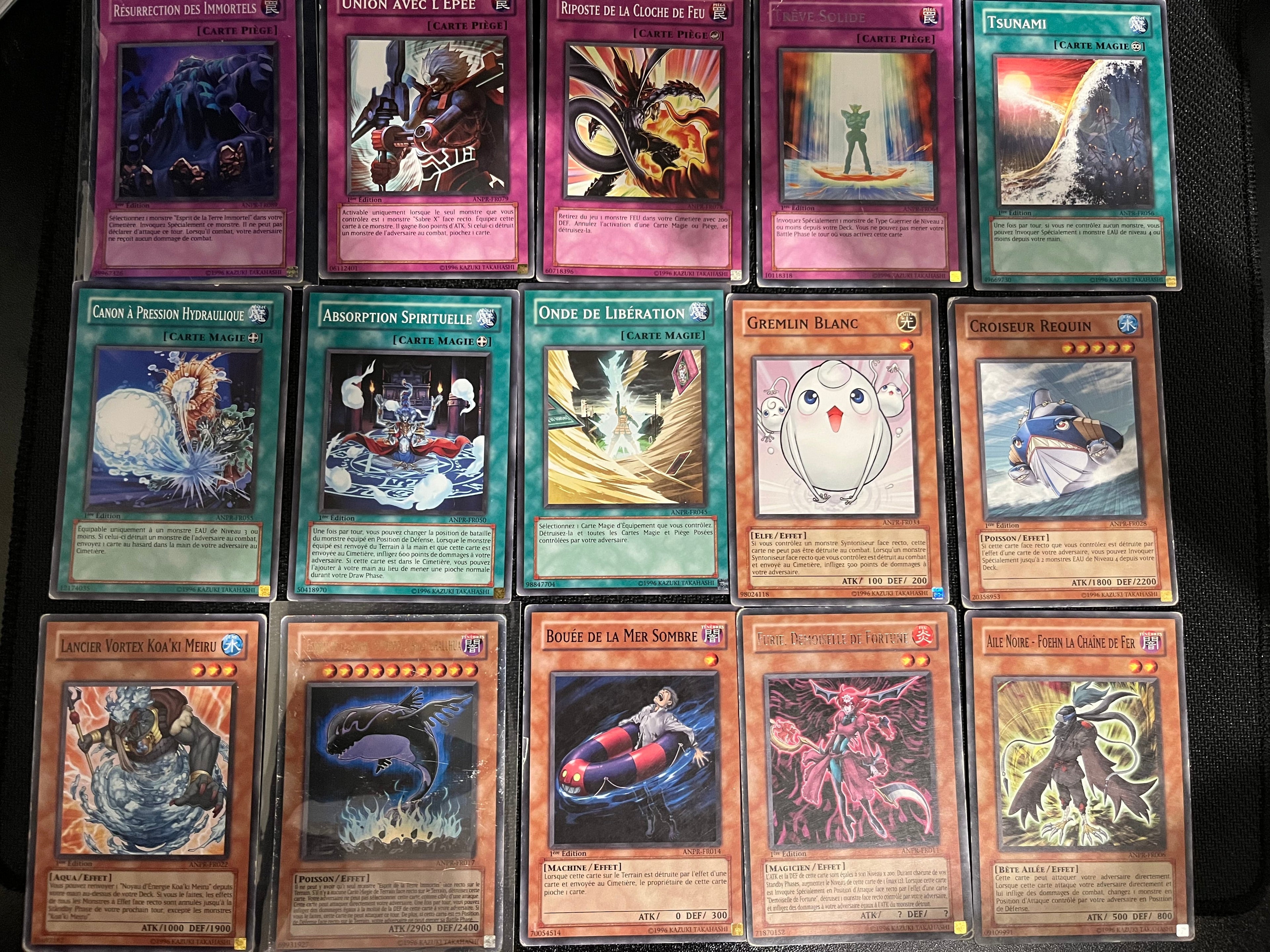 Yu-Gi-Oh! - Lot ANPR 🇫🇷